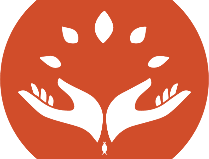 La Lucha Fund: Partner Spotlight