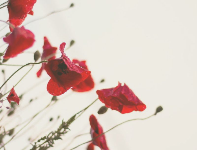 Three Ways to Quickstart Your Will or Estate Plan